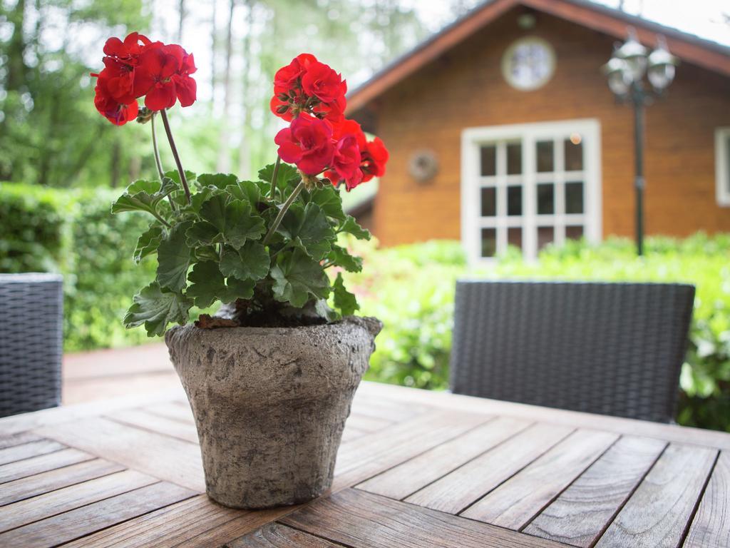 Luxurious Chalet In Oud Turnhout With Large Garden Villa Oud-Turnhout Екстериор снимка